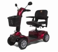 Golden Companion II - 4 Wheel